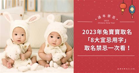 2023兔寶寶好嗎|兔寶寶名字吉凶